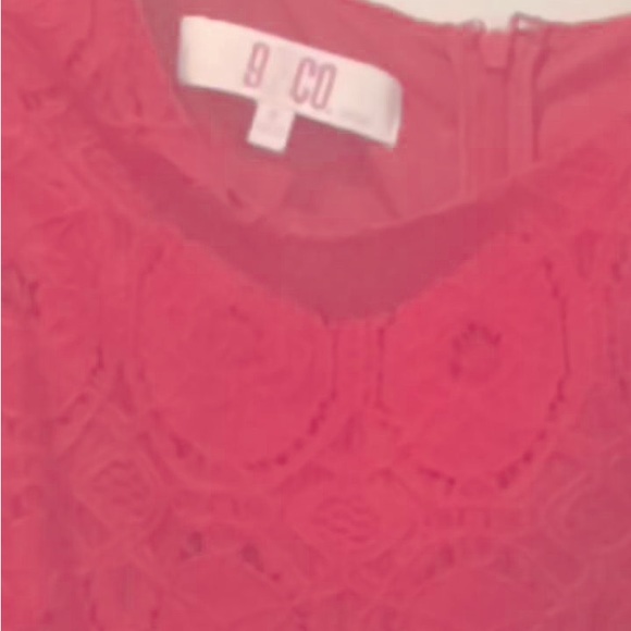 Pretty in Pink Lace Fitted Dress - Picture 3 of 3